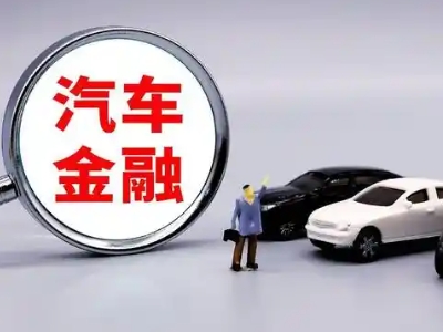 城北押车贷款不是本人可以么?